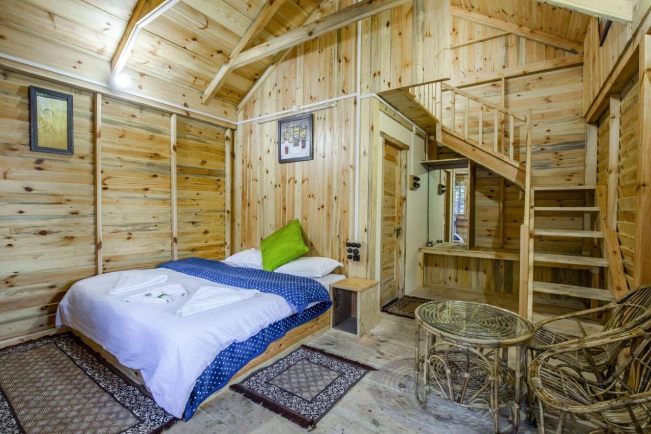 Mid Conifer Cottage Dalhousie Zewnętrze zdjęcie