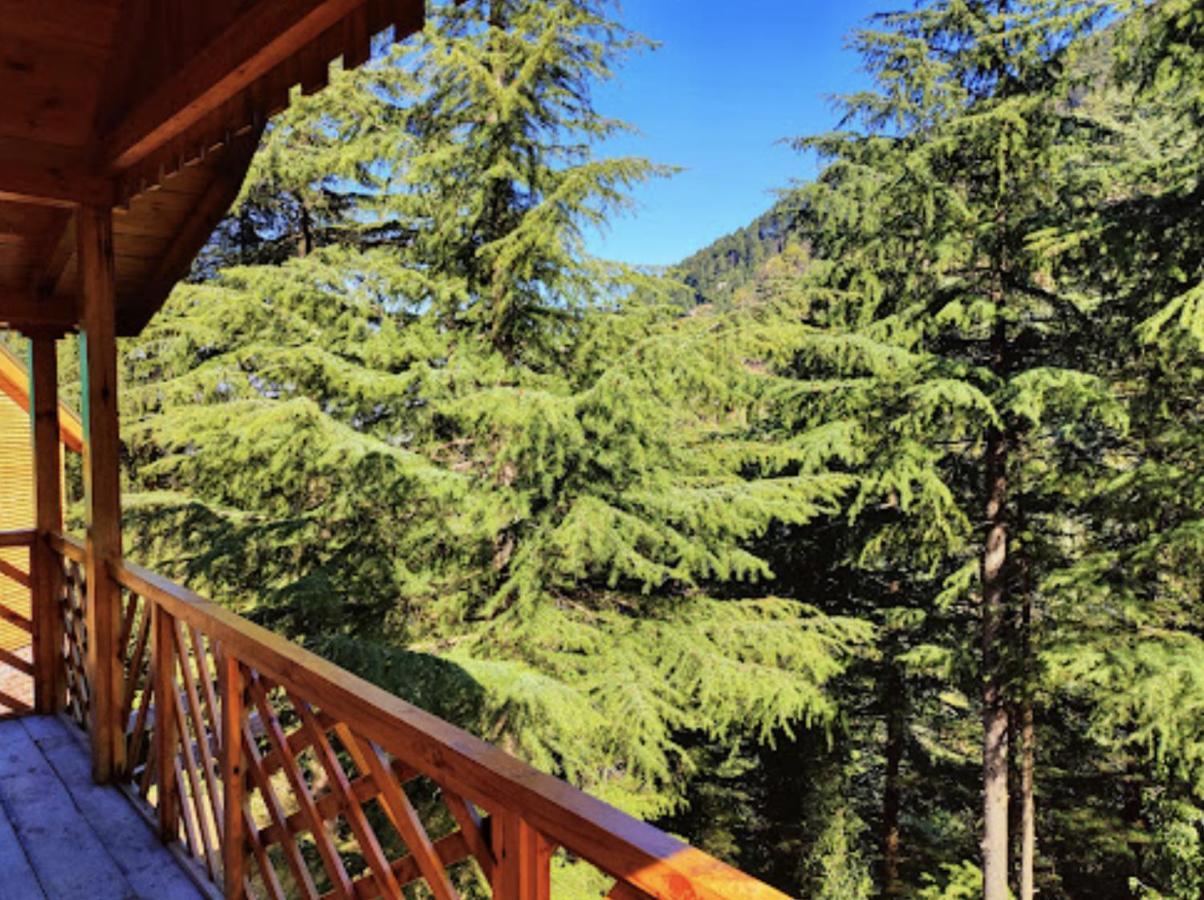 Mid Conifer Cottage Dalhousie Zewnętrze zdjęcie